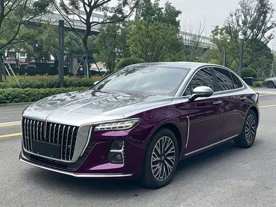 2023 Hongqi H5 2.0T Auto Smart Connect Flag Comfort, фото 1, лот 10288737