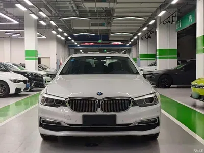 2019 BMW 5 Series 530Li Leading Luxury Package, фото 2, лот 11210938