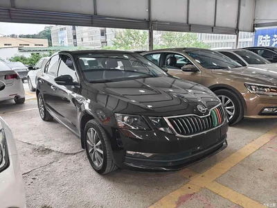 2019 Škoda Octavia TSI230 DSG Comfort Edition, фото 3, лот 10348545