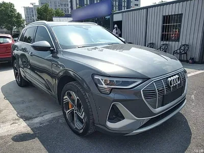2021 Audi e-tron 50 quattro Exclusive Selection, фото 4, лот 10473630