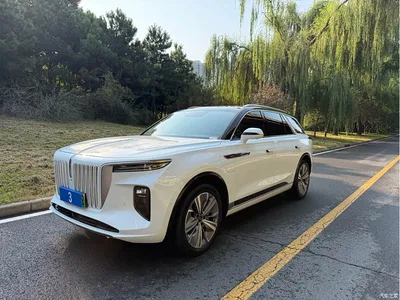 2022 Hongqi E-HS9 690km Qi Xiang Edition (6-seater), фото 1, лот 10288877