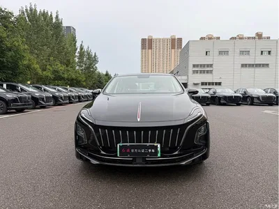 2023 Hongqi E-QM5 Basic Travel Edition, фото 2, лот 10287301