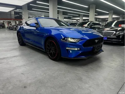 2020 Ford Mustang 2.3L EcoBoost, фото 3, лот 10448645