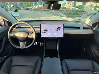 2019 Tesla Model 3 (Import) Long Range RWD Version, фото 3, лот 10355433