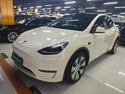 2021 Tesla Model Y Model Long Range AWD, фото 1, лот 10390787