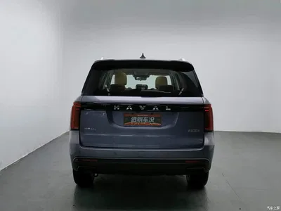 2023 Haval H5 2.0T Automatic AWD Leading Elite Gasoline, фото 4, лот 11548951