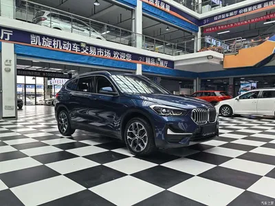 2021 BMW X1 sDrive25Li Leading, фото 3, лот 10466632