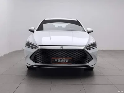 2021 BYD Qin PLUS DM-i 120KM Premium, фото 3, лот 10771723