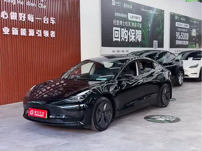 2022 Tesla Model 3 Model Rear-Wheel Drive Version, фото 1, лот 10352078