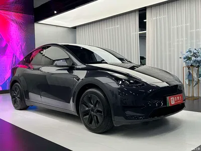 2024 Tesla Model Y Rear-Wheel Drive Version, фото 3, лот 10448364