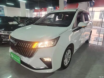 2022 Wuling Motors Wuling Jiachen 1.5T CVT Smart Luxury, фото 1, лот 10831960