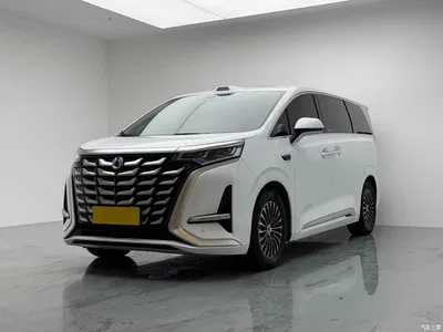 2025 Denza D9 DM-i Smart Drive Edition 1020 AWD Luxury, фото 1, лот 10346701