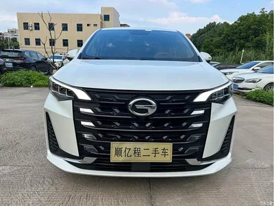 2021 GAC Trumpchi Trumpchi M6 PRO 270T Automatic Luxury Edition, фото 2, лот 10353532