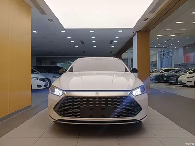 2024 BYD Qin PLUS Glory Edition DM-i 55KM Leading, фото 3, лот 10364328