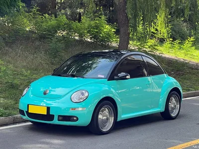 2010 Volkswagen Beetle Model 2.0 BlackOrange Comfort Edition, фото 1, лот 10473831