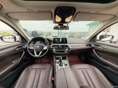 2020 BMW 5 Series New Energy 530Le Luxury Package, фото 4, лот 10474156