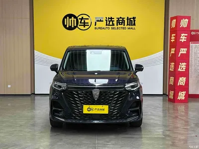 2021 Roewe iMAX8 400TGI Supreme Series Ultimate Edition, фото 2, лот 10339964