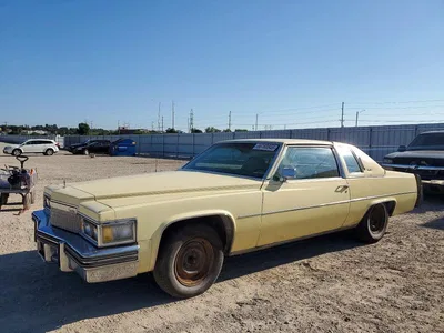 1981 CADILLAC DE VILLE, фото 1, лот 10970637