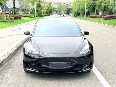 2021 Tesla Model 3 Standard Range Rear-Wheel Drive Upgrade, фото 3, лот 10394745