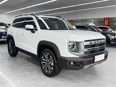 2024 Haval Big Dog 1.5T DCT Border Collie Edition, фото 3, лот 11062292