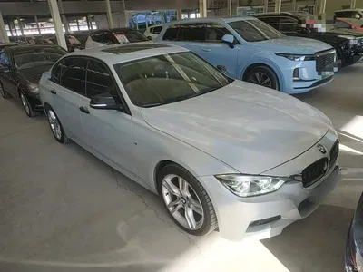 2019 BMW 3 Series 320Li M Sport Package, фото 4, лот 10458126