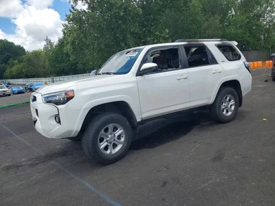 2019 TOYOTA 4RUNNER SR5, фото 1, лот 10701342