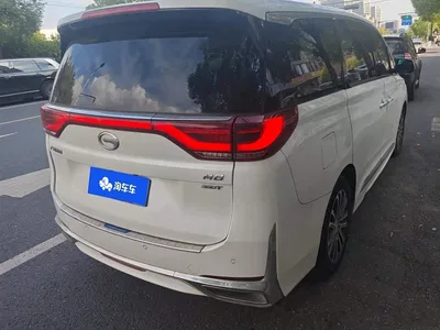 2021 GAC Trumpchi Trumpchi M8 Leading Show Series 390T Prestige Edition, фото 3, лот 10679740