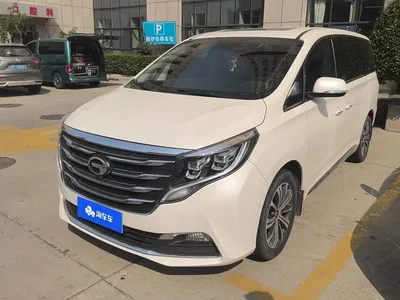 2018 GAC Trumpchi Trumpchi M8 320T Premium Edition, фото 2, лот 10679352