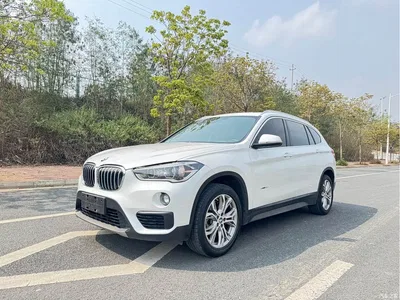 2018 BMW X1 sDrive20Li Leading Model, фото 1, лот 10466471