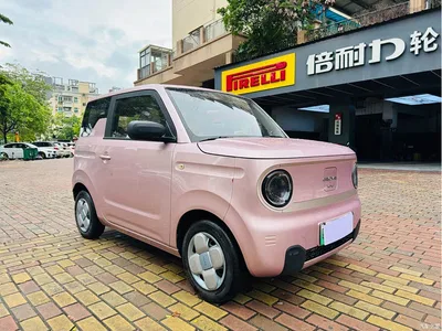 2023 Geely Galaxy Panda Mini 200km Endurance Bear, фото 1, лот 10431404