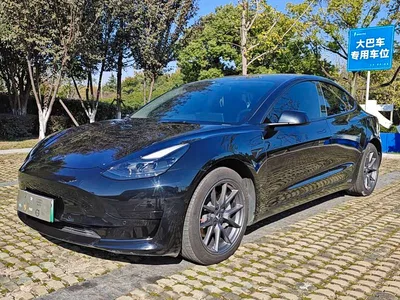 2021 Tesla Model 3 Facelift Standard Range RWD Upgrade 3D1, фото 1, лот 10352753