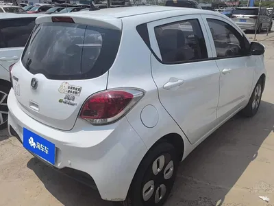 2021 Changan Benben E-Star National Edition Heartjoy (Quick Charge) LFP (31.95kWh), фото 3, лот 10274278