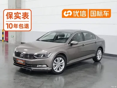 2019 Volkswagen Magotan 330TSI DSG Luxury China V, фото 1, лот 10399037