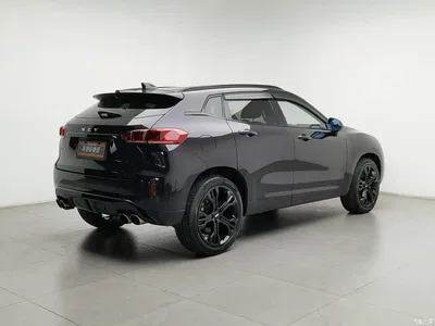 2017 WEY VV7 2.0T Flagship, фото 2, лот 11579722