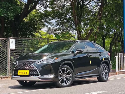2020 Lexus RX Facelift 300 AWD Elegance Edition, фото 1, лот 11199953