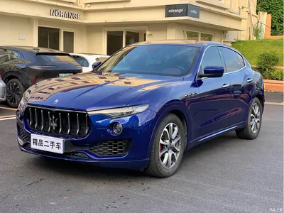 2016 Maserati Levante 3.0T Standard, фото 1, лот 10322212