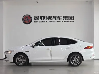 2023 BYD Qin PLUS Champion Edition DM-i 120KM Leading Type, фото 4, лот 11493742