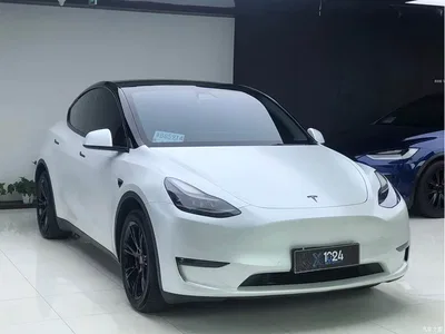2021 Tesla Model Y Standard Range Rear-Wheel Drive, фото 3, лот 10885615