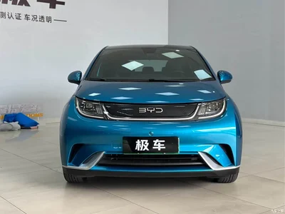 2021 BYD Dolphin Model 405km Fashion Edition, фото 3, лот 10256768