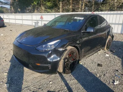 2021 TESLA MODEL Y, фото 1, лот 11208176