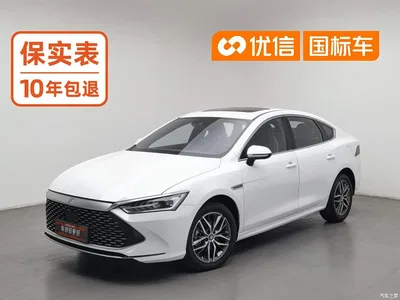 2021 BYD Qin PLUS DM-i 120KM Flagship, фото 2, лот 11226488