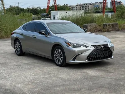 2021 Lexus ES 260 Excellence Edition, фото 1, лот 10313905