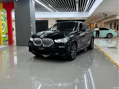2020 BMW X6 xDrive40i M Sport Package, фото 1, лот 10679707
