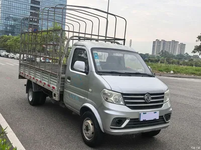 2020 Dongfeng DFSK D51 1.5L Luxury Rear Dual Wheel China VI DK15, фото 2, лот 11160817