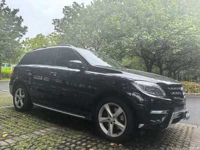 2014 Mercedes-Benz M-Class ML 320 4MATIC, фото 3, лот 11499311