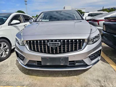 2021 Geely Xing Rui 2.0TD Luxury, фото 2, лот 10359274