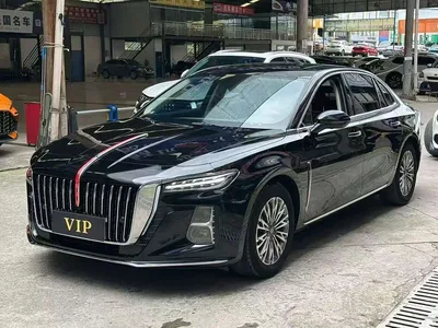 2023 Hongqi H5 2.0T Auto Smart Connect Flag Enjoy, фото 1, лот 10288414