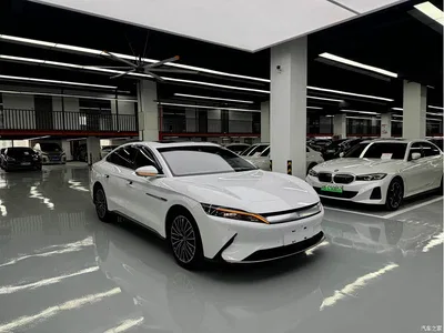 2023 BYD Han EV Champion Edition 506KM FWD Premium, фото 3, лот 11522050