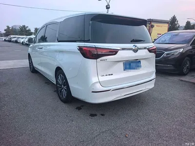 2023 Buick GL8 ES Landmaster Luxury, фото 3, лот 11094941