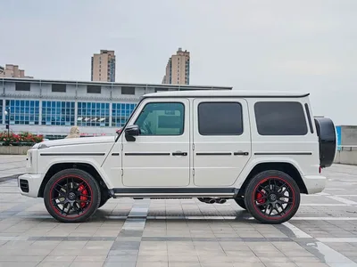2019 Mercedes-Benz G-Class G 500, фото 4, лот 10242165